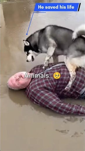 In their care we see pure love🥺 #tweening