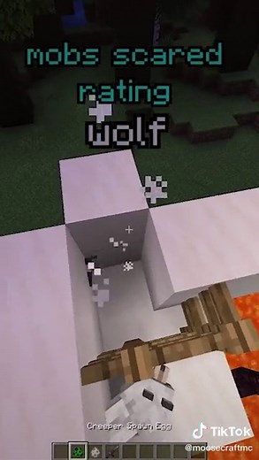 MooseCraft Minecraft on TikTok