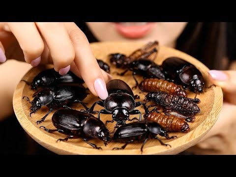 ASMR AI Girl Eating Insects 🪳 Crunchy Sounds, Whisper & Eating Noises for Tingles