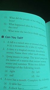 Q11. What did the people of the village do to the boys?Q12. W... | Filo