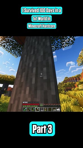 I Survived 100 Days in a 1x1 World in Minecraft Hardcore #minecraft #letsplay #survival #fyp