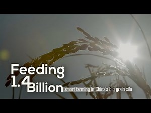 Feeding 1.4 billion: Smart farming with China's big grain silo