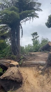 2.3K views · 74 reactions |  FRESH NEW LINE ON BOX OF BIRDS! Rob takes new line.  Tui takes mainline. Cyclezone - the ultimate rider experience - Rotorua NZ. | Cyclezone | Facebook