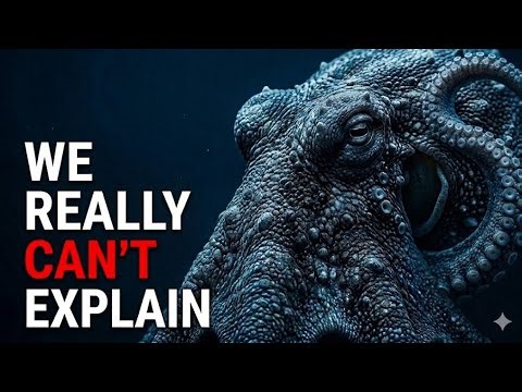 The Octopus Doesn’t Belong on Earth