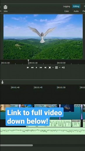 Chroma key in shotcut.