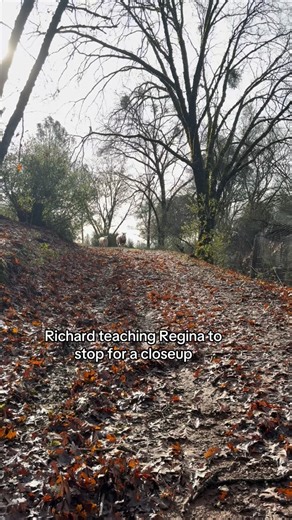 @richardandtheguardians on Instagram: "Richie knows he’s a star ⭐️lol #pet"