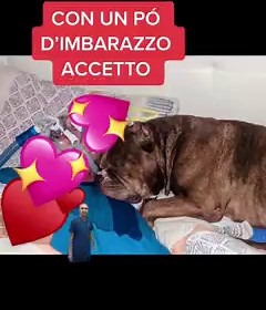 💖ICE RUBACUORI💖 | ICE Rubacuori