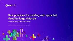 Best Practices for Building Web Apps that Visualize Large Datasets