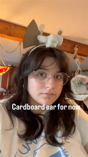 Can you make moveable cat ears out of cardboard?