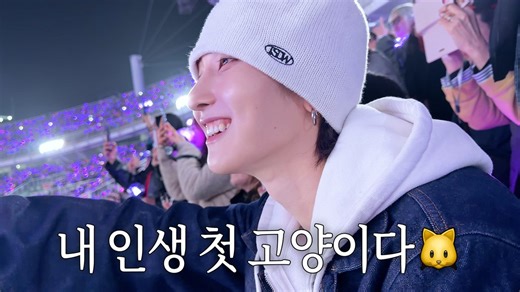 this has to be my first time seeing an idol post a vlog going to bts concert and calling it army log 😂😭