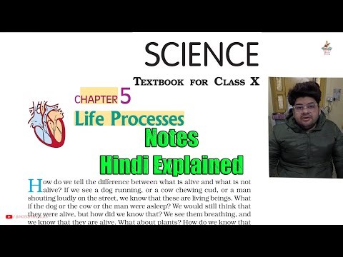Life Processes - Notes Hindi Explained | Chapter 5 | Class 10 Science