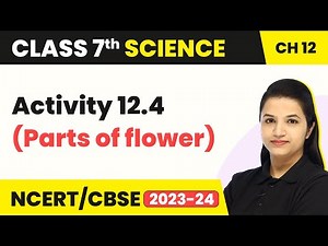 Reproduction in Plants - Activity 12.4 (Parts of flower) | Class 7 Science Chapter 8 | CBSE 2024-25