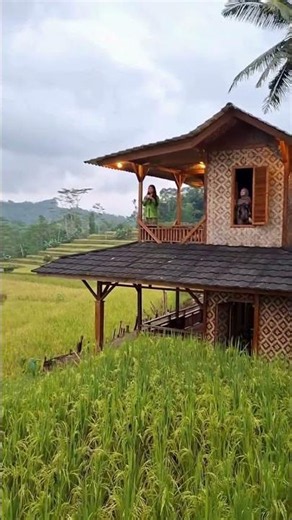 Dream Bamboo House in Rice Terraces 🌾✨ #shorts