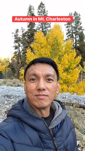 20K views · 1.1K reactions | Autumn in Mt. Charleston #fblifestyle #fblifestylechallenge #autumnvibes #autumnleaves #mtcharleston | Food and Beyond - Dennis Barles | Facebook