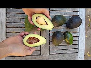 How to tell if an avocado is ripe