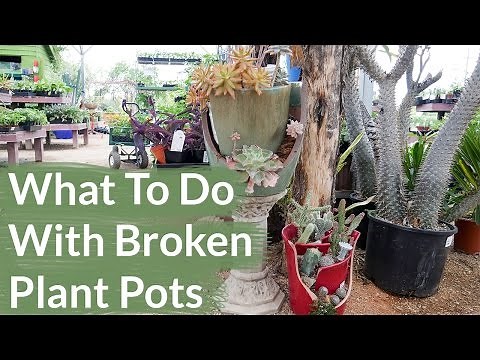 Ideas For What To Do With Broken Plant Pots / Joy Us Garden