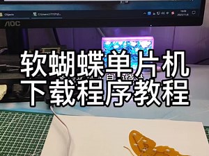 FPC软蝴蝶单片机程序下载教程来了#单片机 #单片机烧录 #机械蝴蝶制作教程 #嘉立创盲埋孔来了 #SMT选嘉立创