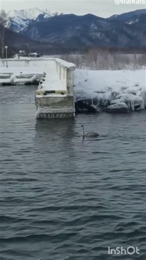 Baikal