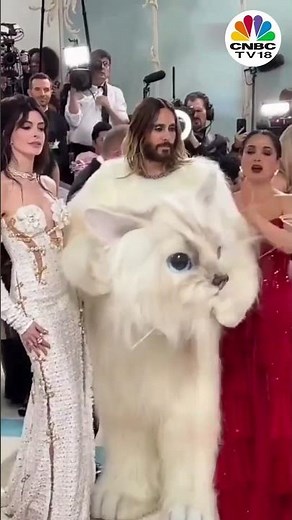 Met Gala 2023 : Anne Hathaway, Salma Hayek Play With 'Cat' Jared Leto | Watch Video | CNBC-TV18