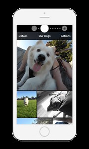 Feature Request: How Apple could improve its built-in apps with iOS 10 - 9to5Mac