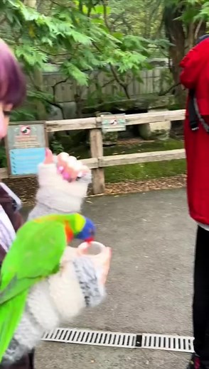 4.7K views · 71 reactions | throwback thursday september 2022 at @Chessington World ofAdventures !列 #fyp #birds #zoo #tourettes #chessingtonworlofadventures #foryou | Zara Beth | Facebook