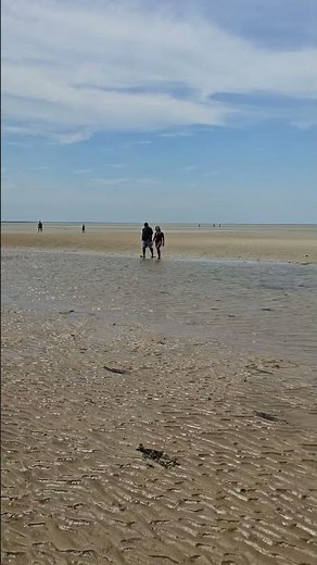 Beaches of Cape Cod