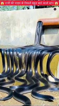 पानी से निकले बहुत से काले सांप ❌😱Wood working withart handcraft idea/home madereal telent/skill-art