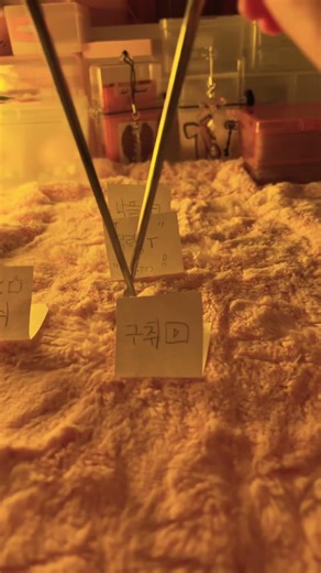 우리 리즘이 어딨니..? 너가 없어서 내가 힘들단 말야!😡#젓가락#웟킹🥢‪@핫_뮹뮹‬