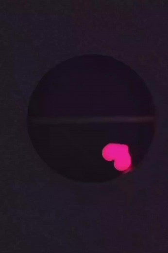 Colorful Animated Heart Shapes in Motion