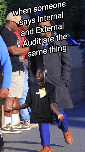 Internal Audit Memes Compilation