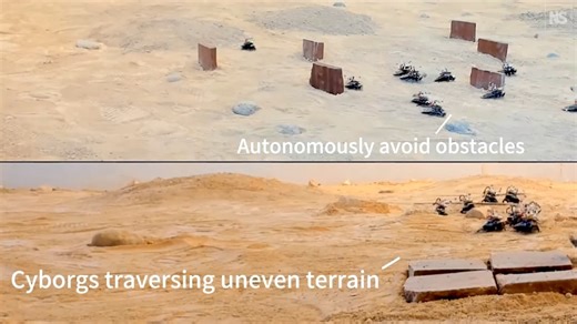 Cyborg Cockroaches With Micro-Computers On Their Backs Skillfully Avoid Obstacles