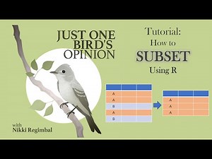 Subsetting a dataframe using R
