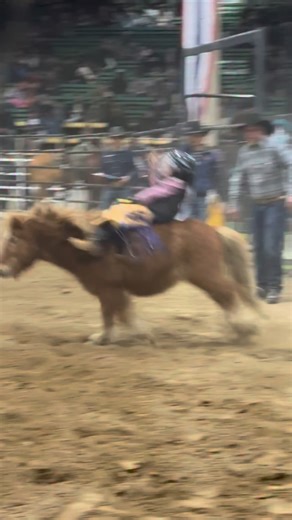 4.7K views · 9.1K reactions | If you missed the Mini Bronc Riding yesterday, never fear! Come watch today’s 11:30 Mini Bronc Riding performance at Stadium Arena! This event is included with Grounds Admission. These bronc riders range from ages 5 to 18. Come cheer on the next generation of bronc riders this morning! | National Western Stock Show | Facebook