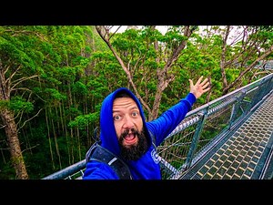 Walpole's Secret Coalmine Beach & Epic Treetop Walk