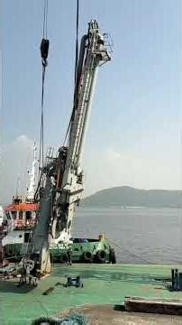 ⚓ Ocean Freight Operations | Powerful Marine Equipment & Port Logistics | The Cargo Channel