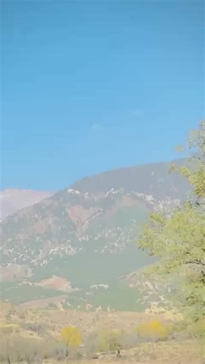 Unfreeze My TikTok Account: What to Do