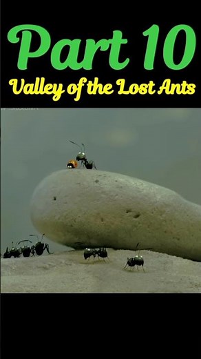 Minuscule: Valley of the Lost Ants Netflix ‪@cuddly111‬