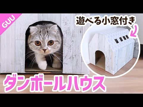 簡単！ダンボール猫ハウスの作り方とプチトラブル［スコティッシュフォールド］