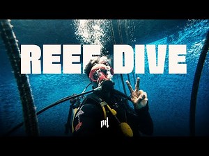 First Time Scuba Diving (Great Barrier Reef)