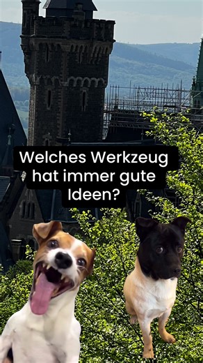 flachwitze_extreme on TikTok