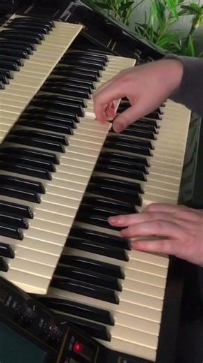 Dalia | Florian Hutter - Wersi Atlantis #shorts #organ #rumba