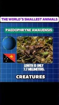 The World's Smallest Animals | Incredible Tiny Creatures You Won't Believe! #anime #usa #foryou
