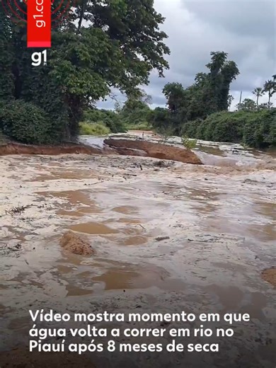 Após 8 meses de seca - Um vídeo gravado na manhã deste domingo (1º) mostra o momento em que a água voltou a correr pelo leito do Rio Boa Vista, no Sul do Piauí. As imagens registram a chegada do volume de água ao povoado Peixe, na zona rural de Massapê do Piauí, após as chuvas registradas nos últimos dias na região. O vídeo passou a circular entre os moradores da região e chamou a atenção por marcar o retorno do fluxo do rio após um período de oito meses de seca, que afetou comunidades rurais, a