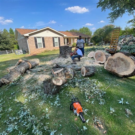Washington Tree Service | Huntsville AL