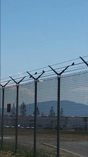 Delta Connection Embraer 175 aircraft operated by SkyWest Airlines preparing for landing at airport