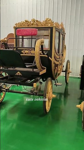 Experience the thrill of a horse-drawn carriage ride! 🐎 Hold on tight for an exciting journey.