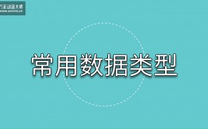 2 常用数据类型