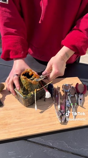 Struggling with My Glue Pot: A Cleaning Challenge