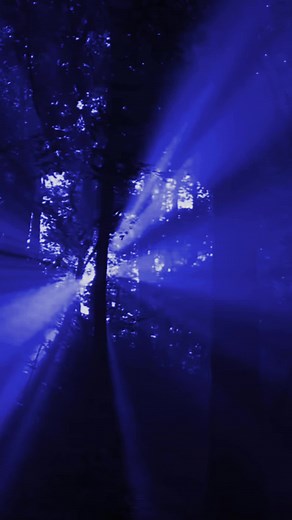 8daudio I tried so hard 🎧 listen to the end for better experience 🫶 Blue mode 🧢 #8d #8daudio #8dmusica #8dmusic #reverse #slow #blue #mood #song #edit #fyp #foryou #foryoupage #paratiiiiiiiiiiiiiiiiiiiiiiiiiiiiiii #pourtoi