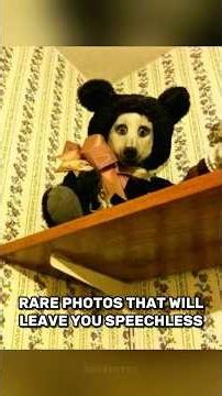 Rare Photos That Will Leave You Speechless! #shorts